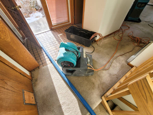 Best Residential water damage restoration  in West Sayville, NY