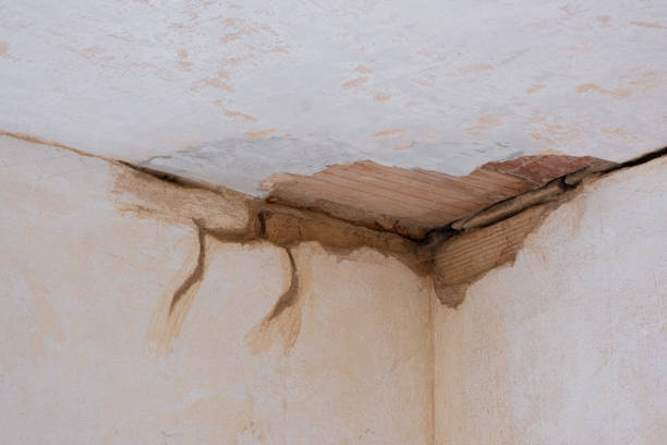 Best Flood damage cleanup  in West Sayville, NY