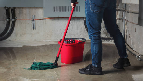 Best Water damage restoration near me  in West Sayville, NY