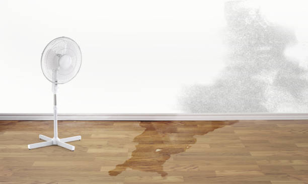 Best Water damage contractors near me  in West Sayville, NY