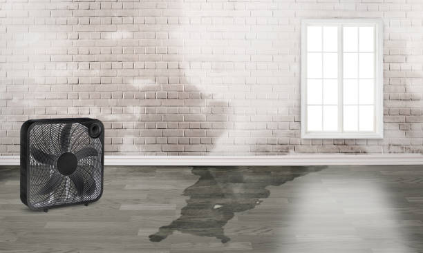 Best Flood restoration services  in West Sayville, NY