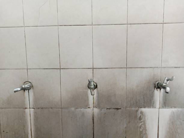 Best Residential water damage restoration  in West Sayville, NY