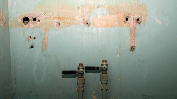 Best Water damage restoration insurance claims  in West Sayville, NY