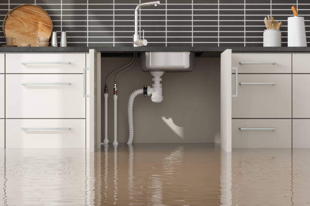 Best Water damage restoration near me  in West Sayville, NY