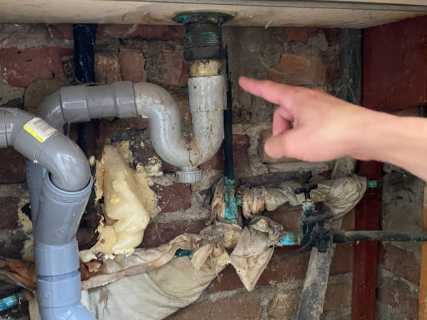 Best Water damage cleanup near me  in West Sayville, NY